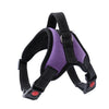 Dog and Cat Adjustable Harness with Leash Reflective and Breathable for Small and Large Dog Harness Vest Pet Supplies - The Well Being The Well Being Purple / S Ludovick-TMB Dog and Cat Adjustable Harness with Leash Reflective and Breathable for Small and Large Dog Harness Vest Pet Supplies