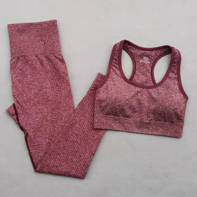 Seamless Yoga Set Women Workout Set Sportswear Fitness Clothes For Women Clothing Gym Leggings Sport Suit - The Well Being The Well Being Ludovick-TMB Seamless Yoga Set Women Workout Set Sportswear Fitness Clothes For Women Clothing Gym Leggings Sport Suit