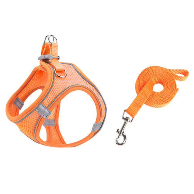 Pet Harness Dog Leash Vest Chest Harness Adjustable Nylon Breathable Reflective Outdoor Walking Dog Chest Strap Small and Medium - The Well Being The Well Being Orange combination / XXXS Ludovick-TMB Pet Harness Dog Leash Vest Chest Harness Adjustable Nylon Breathable Reflective Outdoor Walking Dog Chest Strap Small and Medium