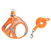Pet Harness Dog Leash Vest Chest Harness Adjustable Nylon Breathable Reflective Outdoor Walking Dog Chest Strap Small and Medium - The Well Being The Well Being Orange combination / XXXS Ludovick-TMB Pet Harness Dog Leash Vest Chest Harness Adjustable Nylon Breathable Reflective Outdoor Walking Dog Chest Strap Small and Medium